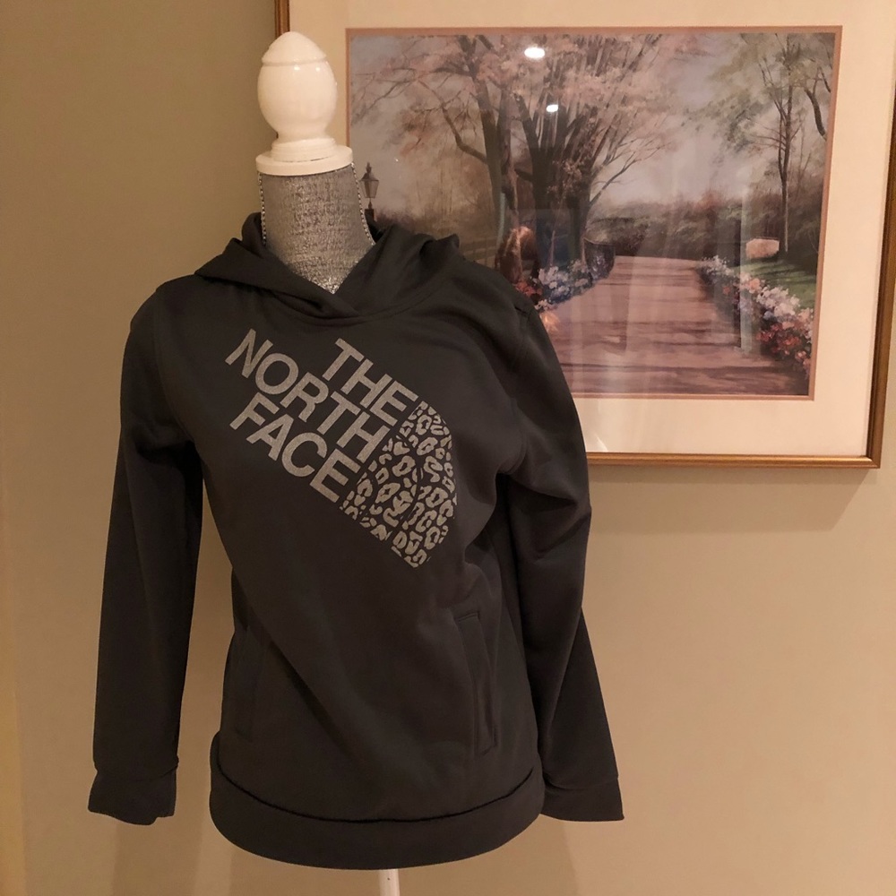 Never Worn The Northface sparkly grey jacket